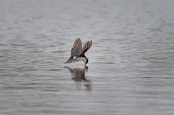 On The Fly