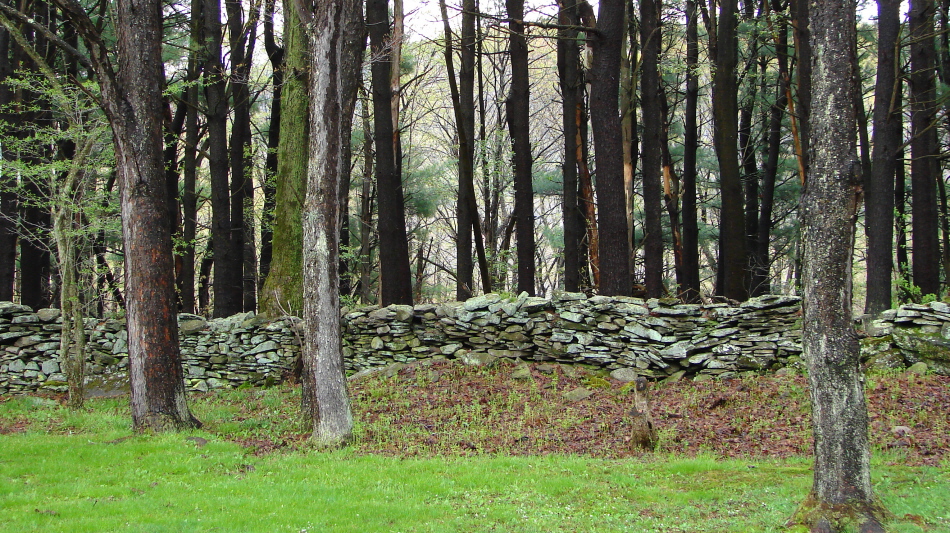 The Ol' Stone Wall