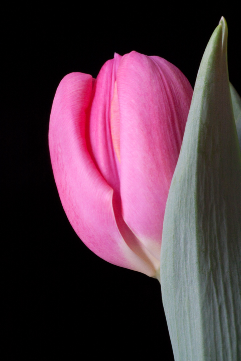 Pink!!