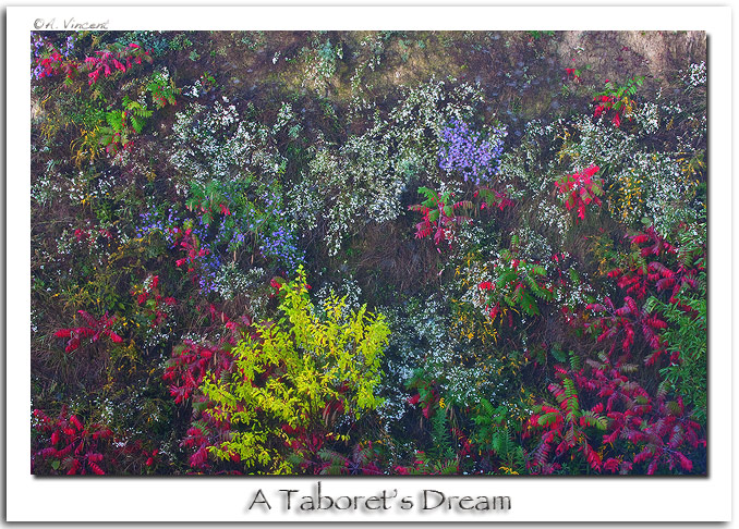 A Taboret's Dream