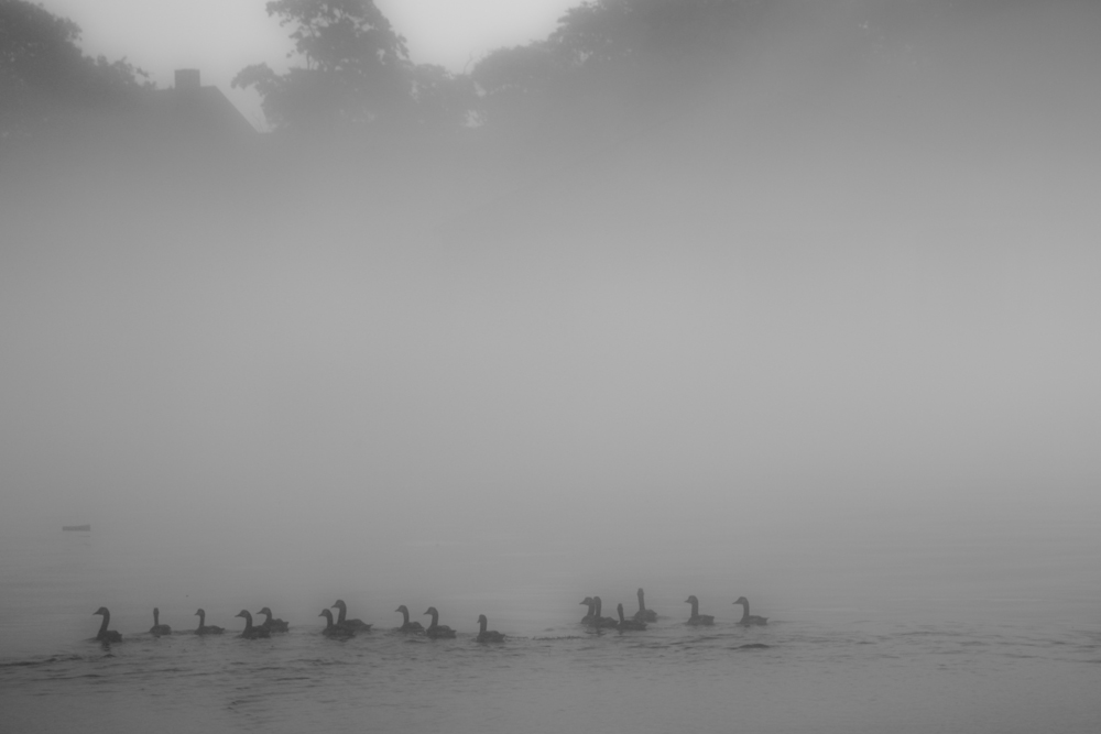 Enshrouded