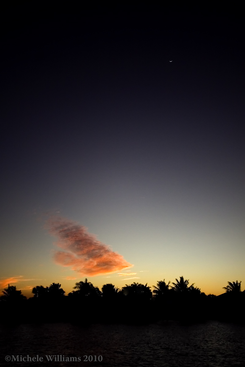 Angelfish Cloud