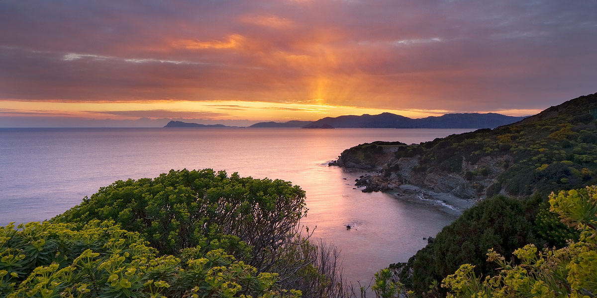 Baia delle Ginestre