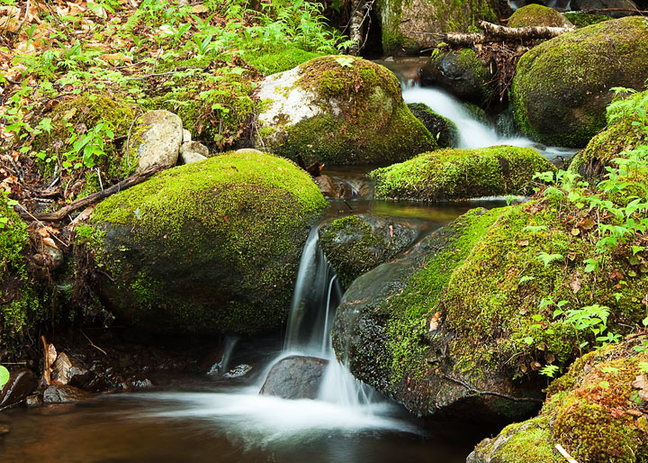 Mountain Cascade