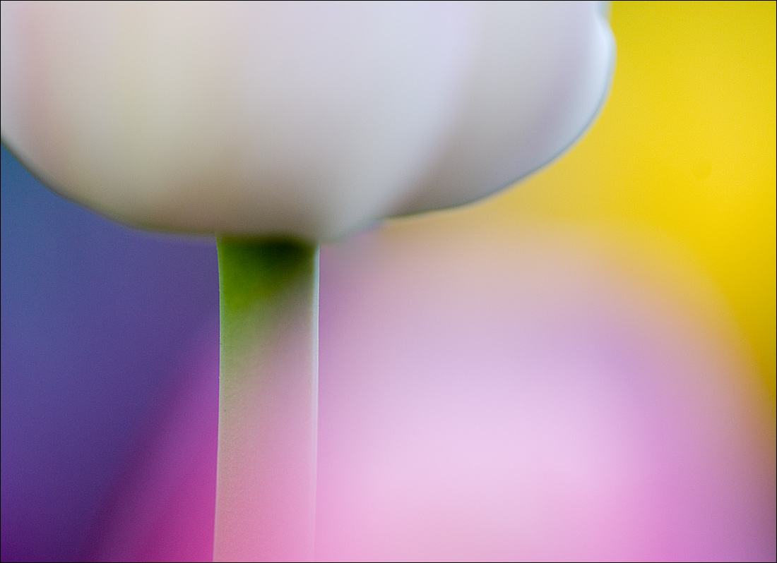 Return of Color