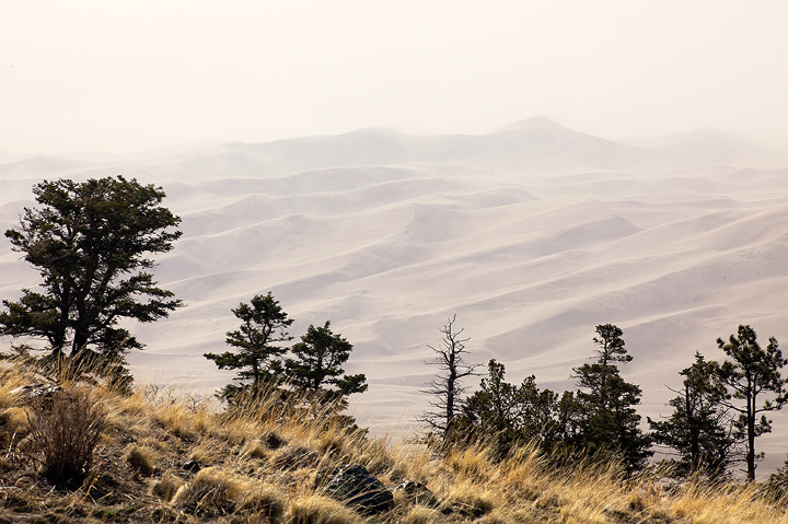 Armageddon Dunes WC431