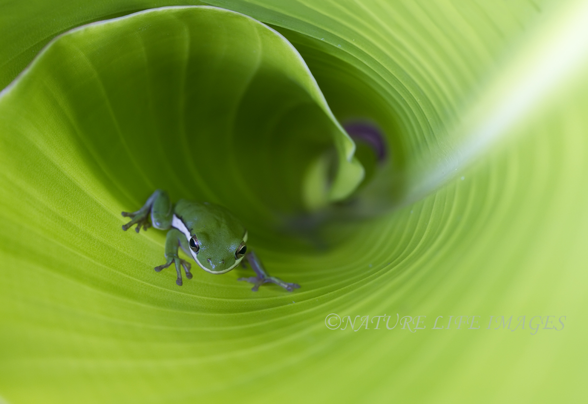 Catchin A Wave WITH REPOST