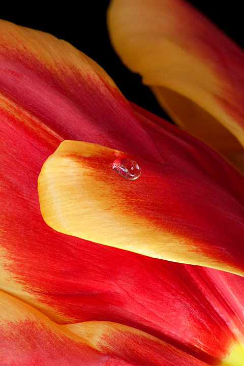 Teardrop II