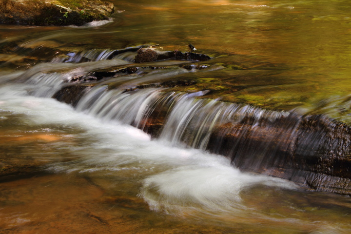Pearson Falls Trail