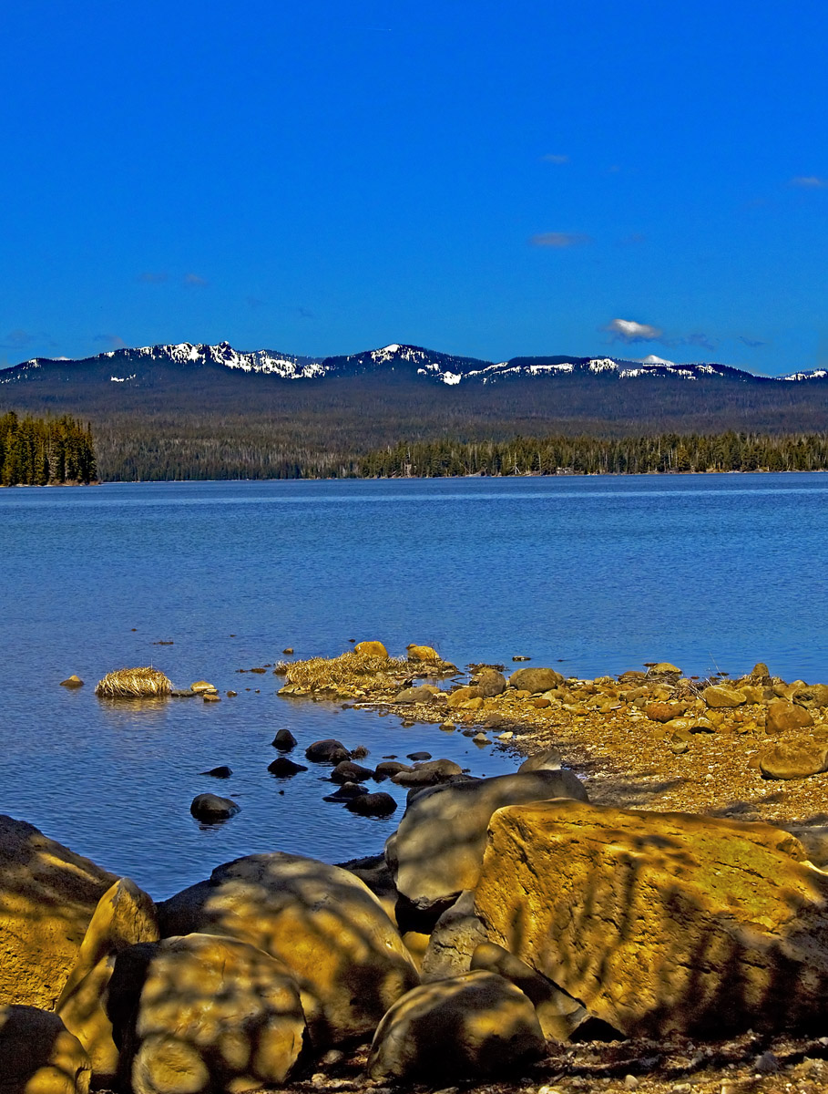 Cascades Across Cultus