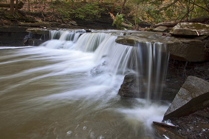 Pure Nature