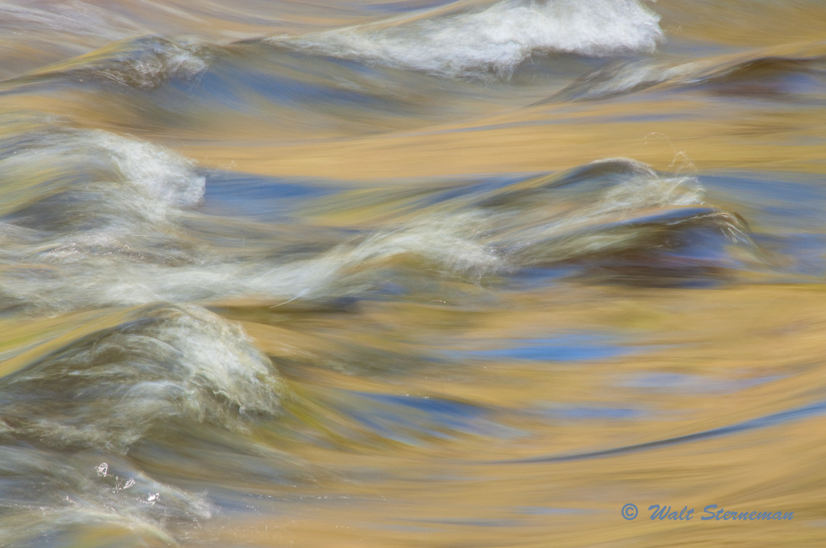 Stream Reflections