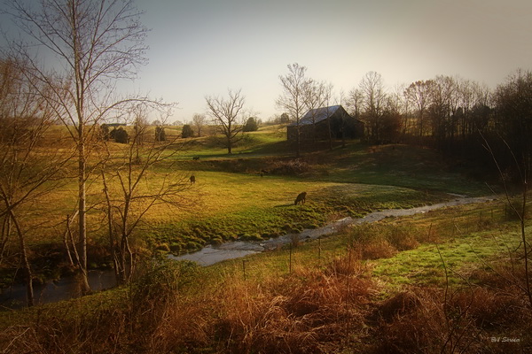 A taste of Tennessee