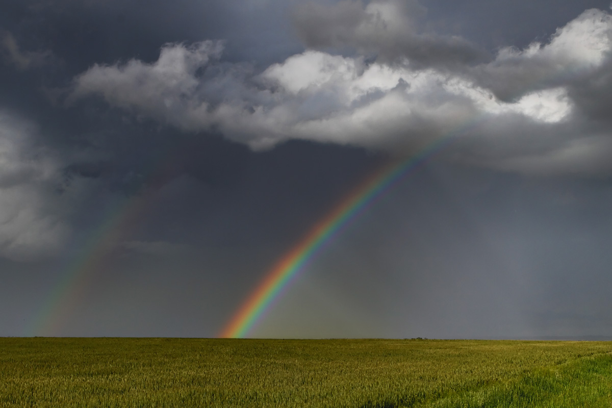 Stormy Rainbow