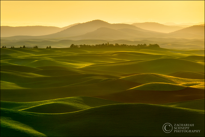 Golden Palouse Sunrise