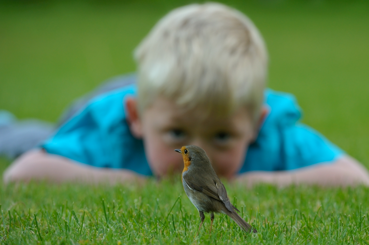 My son and Robin