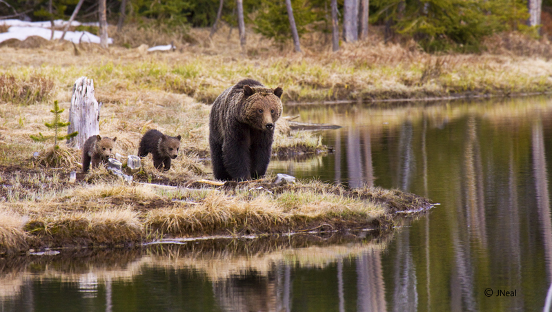 Family at the Lake