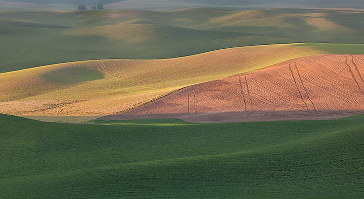 A Palouse Morning