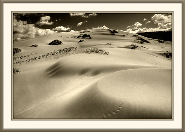 Oceano Dunes