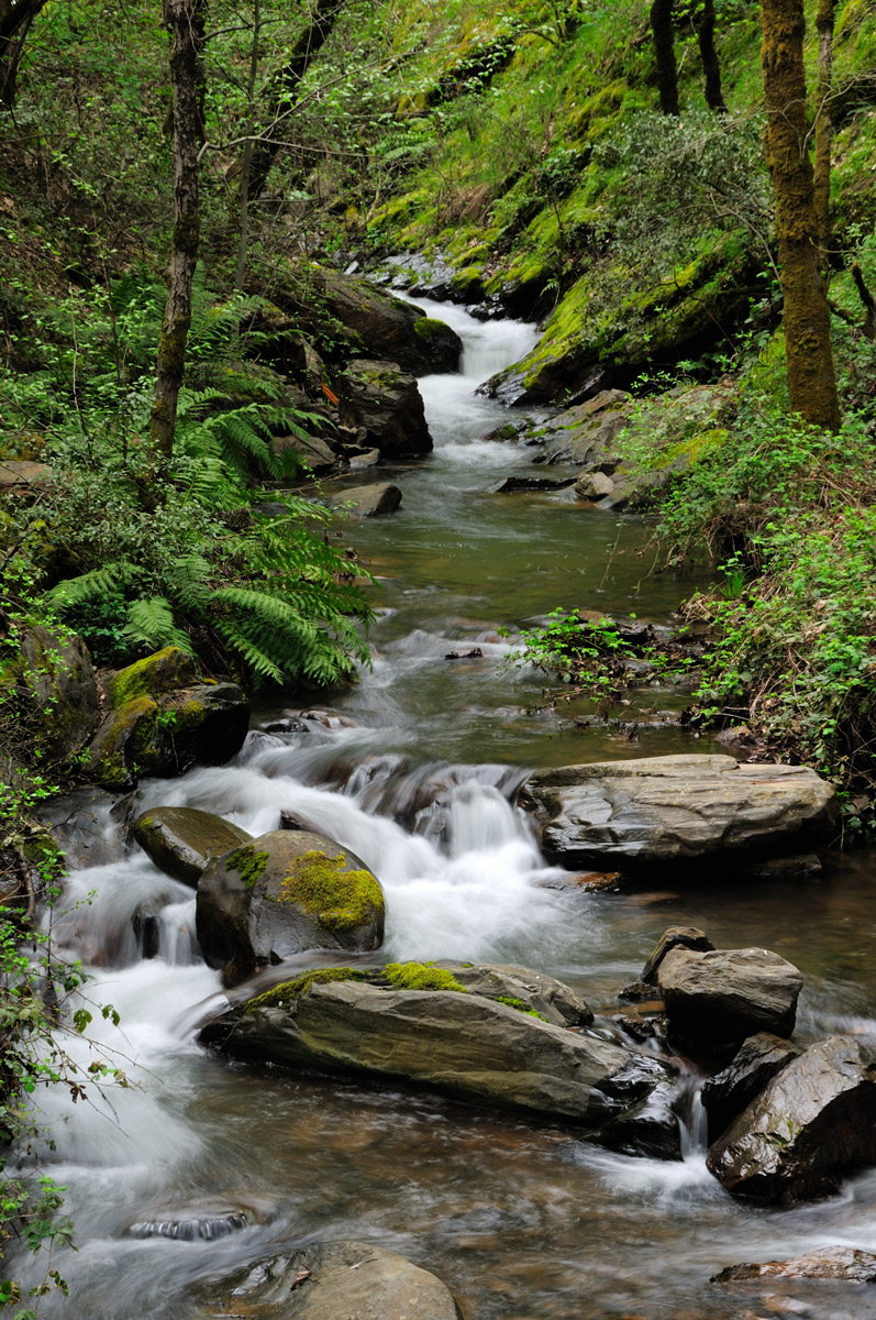 WC #434 Five Mile Creek