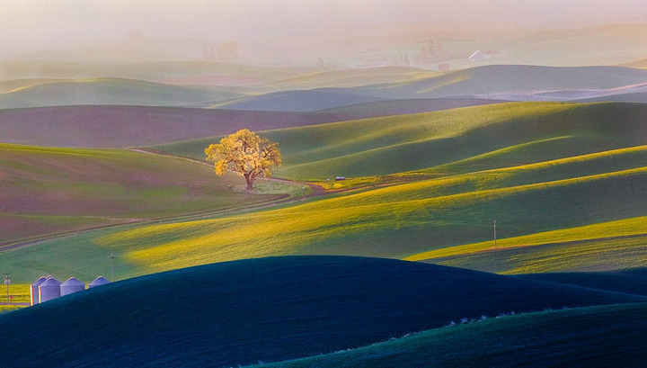 Palouse Sunrise