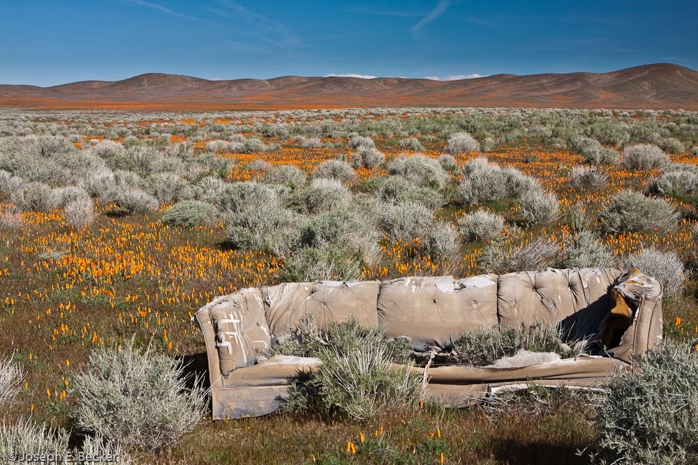 Couch with a View
