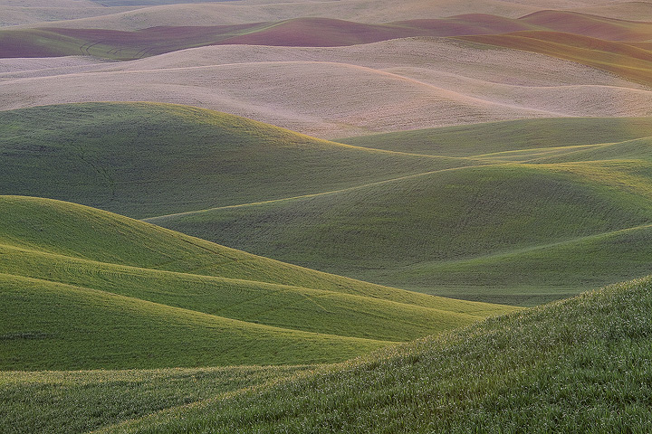 The Palouse