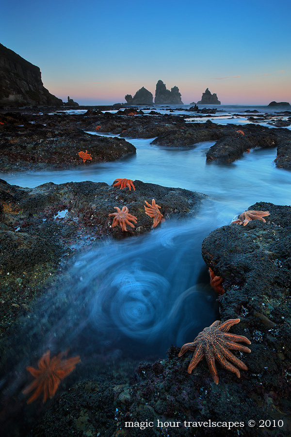 Starfish Parade