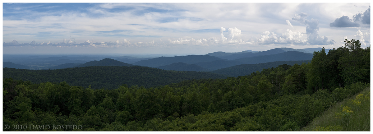 Vista
