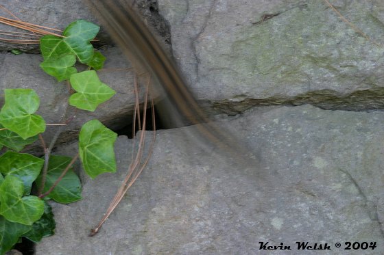WC #143: Dang Chipmunk, Stay Still!