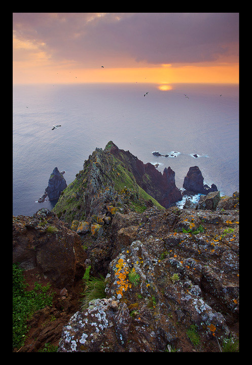 Life at the Edge