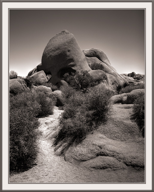 Skull Rock - Joshua Tree
