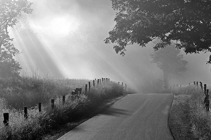 Morning Rays in Cades Co