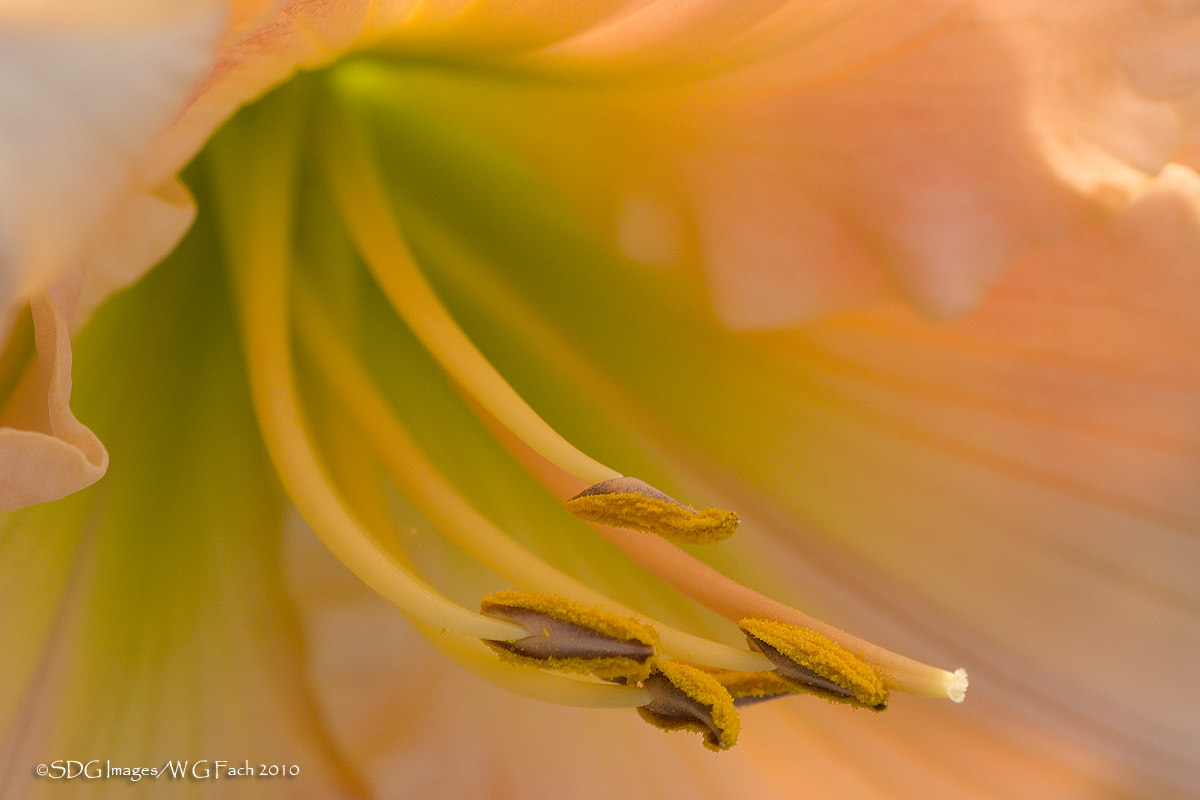 Formation Flying