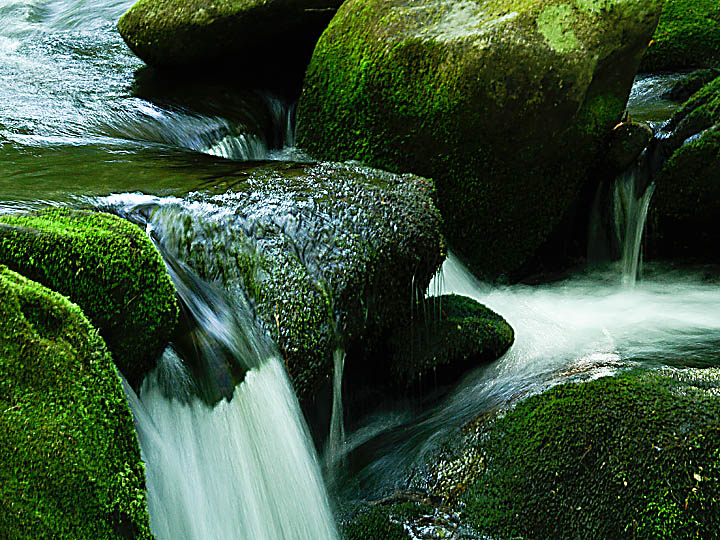 Jake's Creek