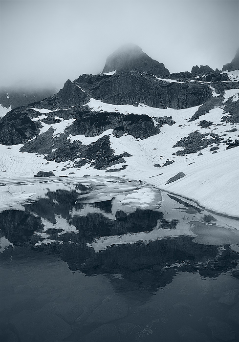 Wild alpine