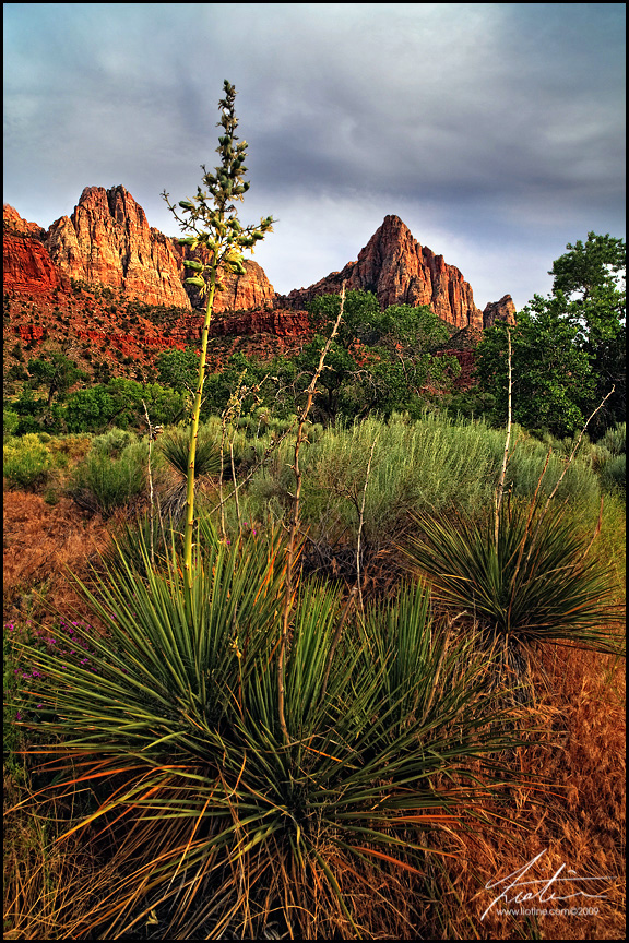 Watchman Gardens