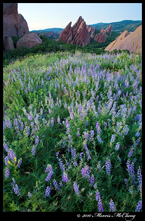 Roxborough