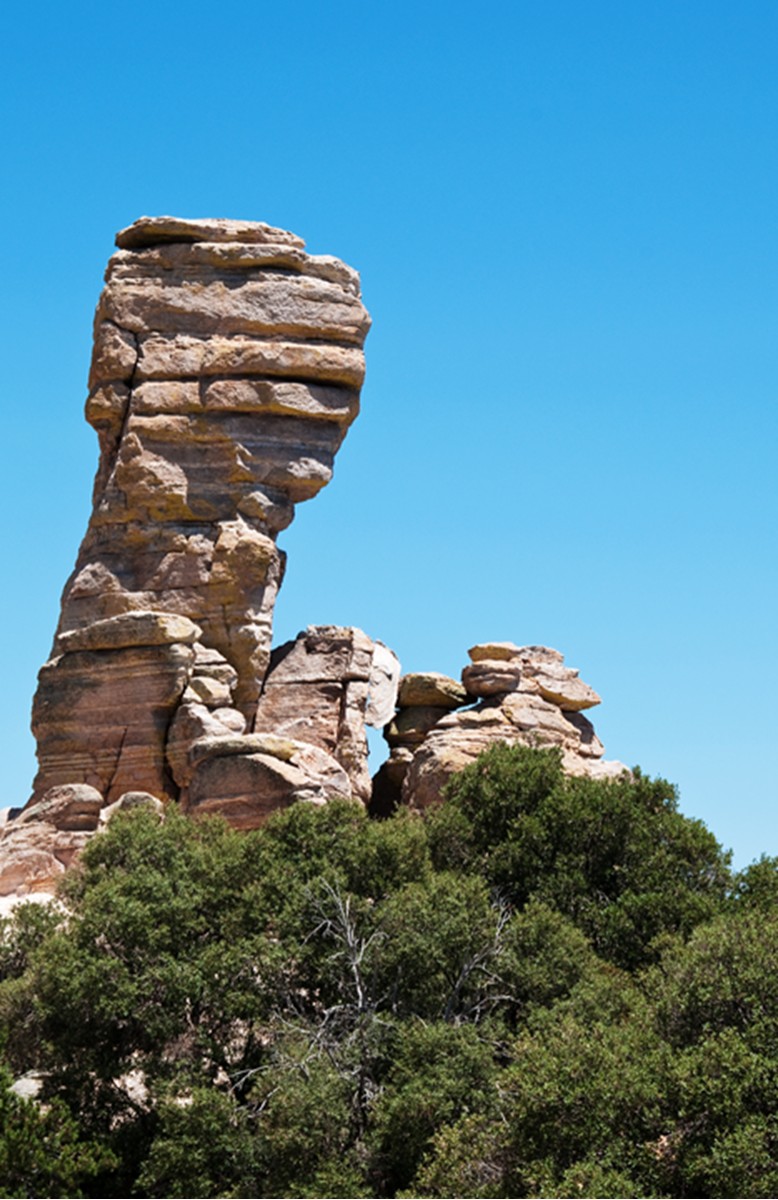 Dinosaur Rock