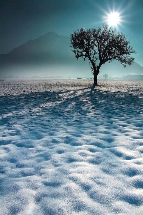 Emotional Winter