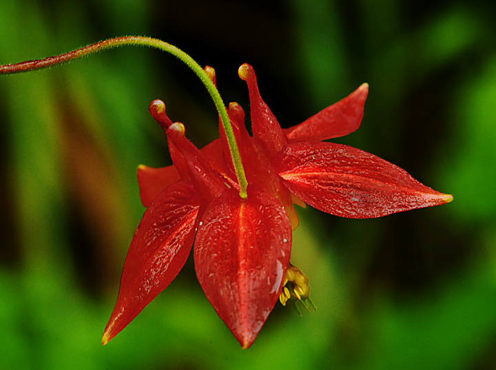 Other Side of Beauty