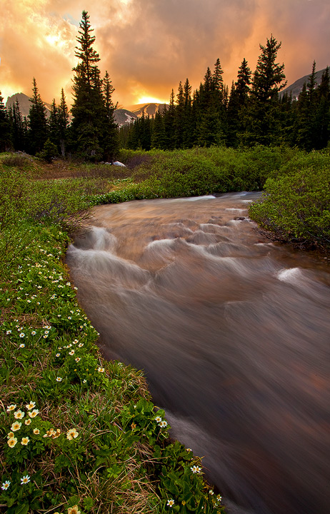 Flowing into Summer