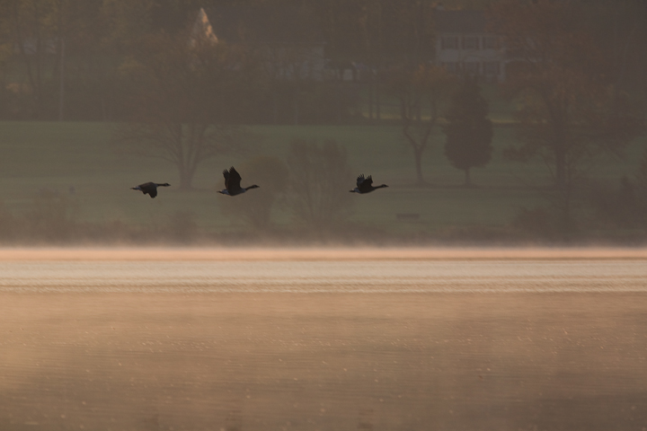 WC#438 Sunrise Takeoff