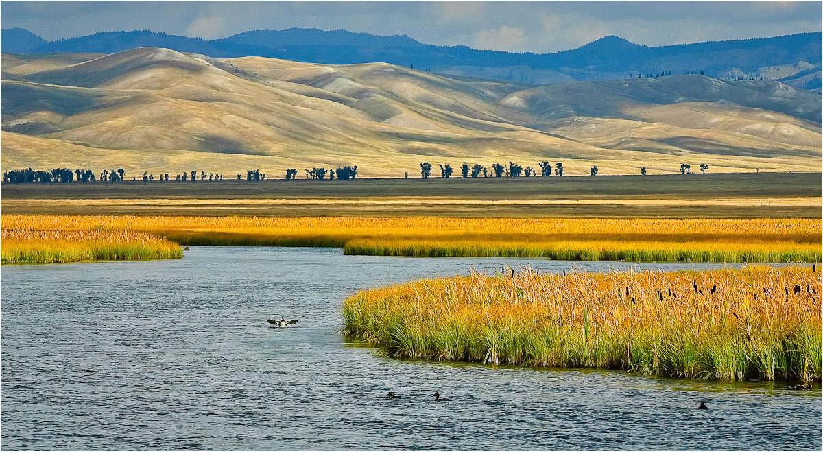 National Elk Refuge