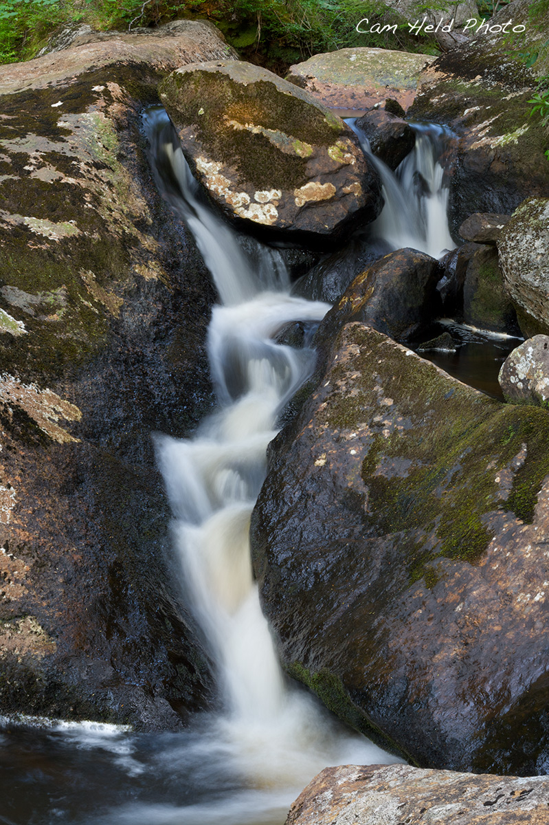 Loon Brook
