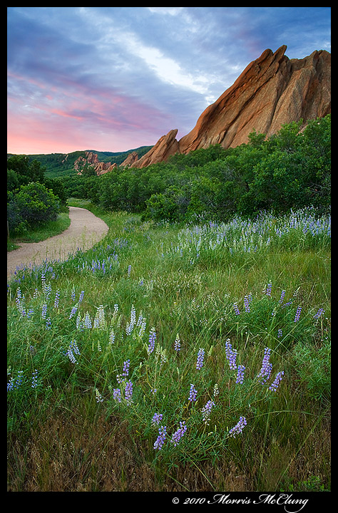 Roxborough Dawn