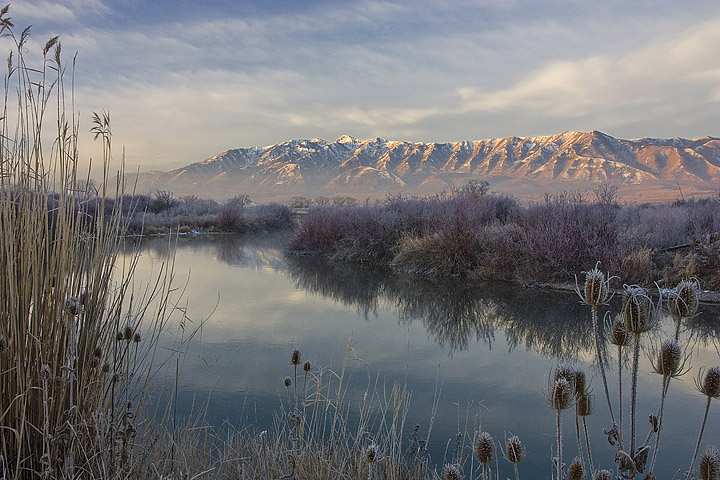 Winter Morning
