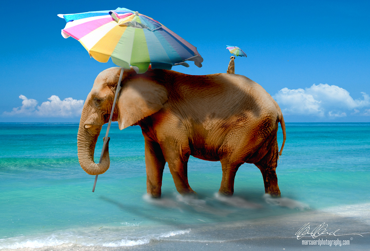 At The Beach