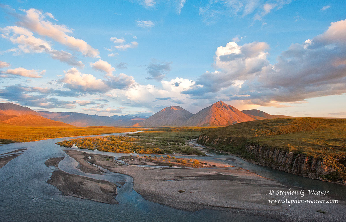 ANWR Light
