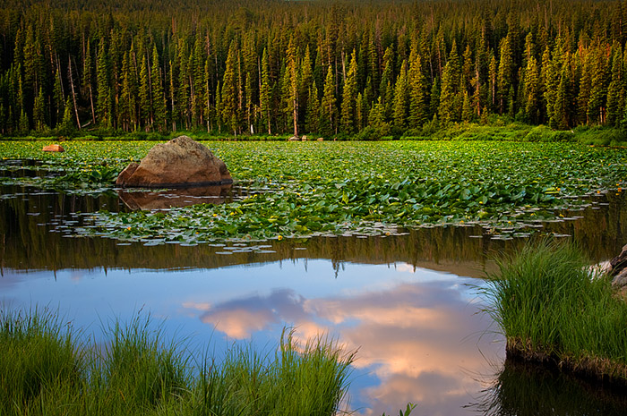 Red Rock Lake